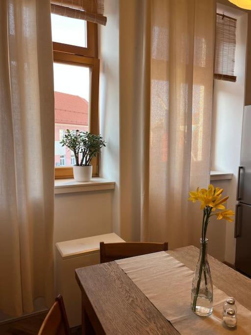 Apartman Pod Valdickou Branou Jicin Exterior photo
